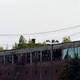 Image for article titled The Feral Factories Of Detroit